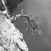 calanques de piana 8-2024 0315